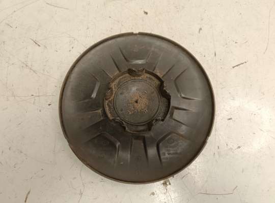 купить Колпак колесный на Renault Master III