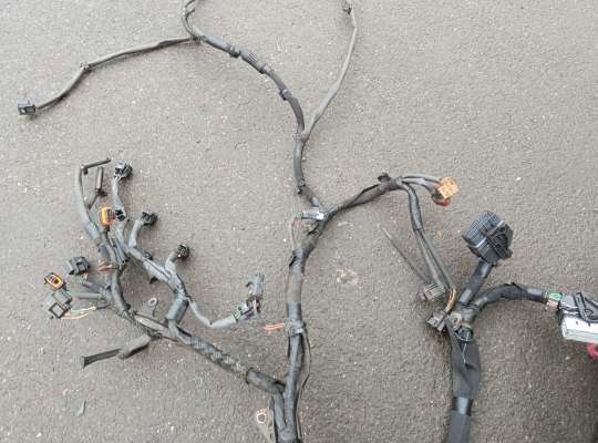 Проводка (коса) моторная на Renault Master III