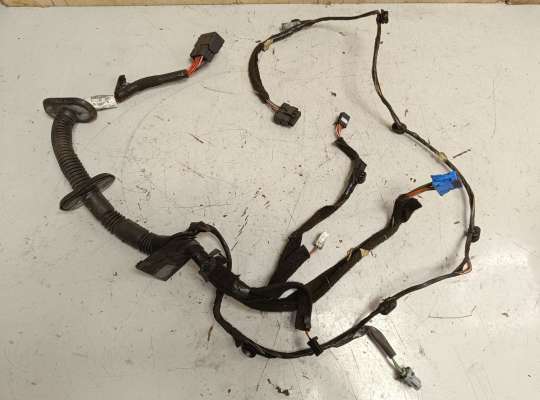 Проводка двери RN1524086 на Renault Master III