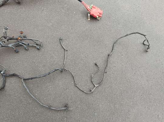 Проводка (коса) моторная на Renault Master III