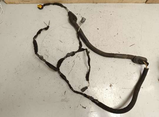 Проводка двери RN1524087 на Renault Master III