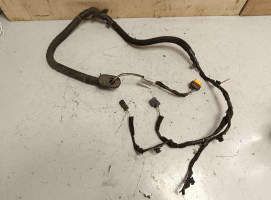 Проводка двери RN1524088 на Renault Master III