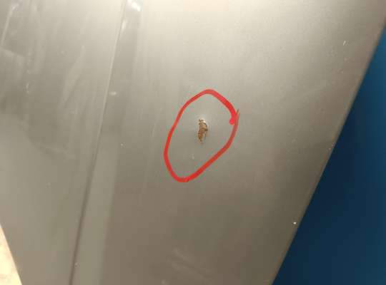 купить Капот на Ford Focus I