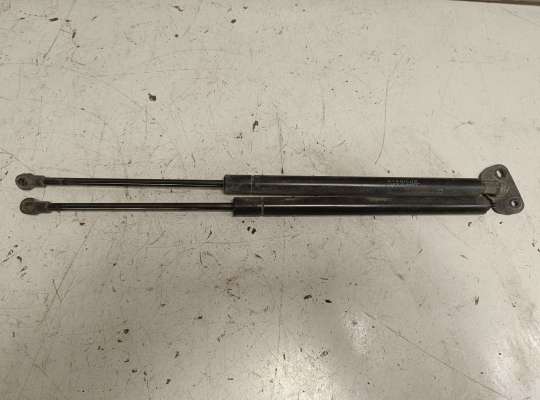 купить Амортизатор крышки багажника на Pontiac Vibe