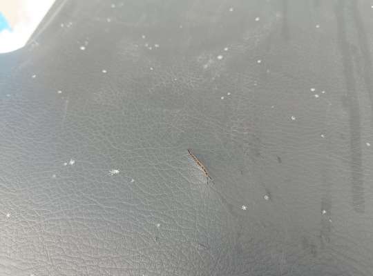 купить Сиденье на Opel Frontera B