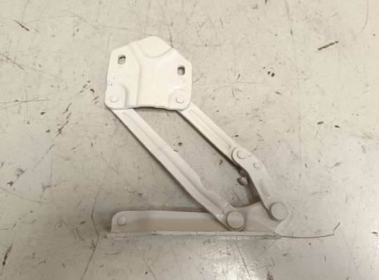 Петля капота VG2615928 на Volkswagen Caddy III (2K)