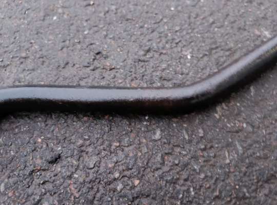 купить Стабилизатор подвески (поперечной устойчивости) на Honda CR-V III (RE)