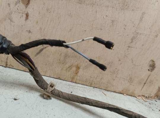 купить Проводка двери на Ford Focus I