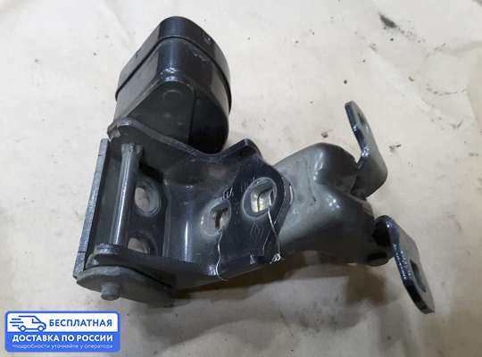 Петля двери на Renault Scenic II