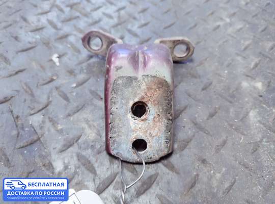 Петля двери на Nissan Teana II (J32)