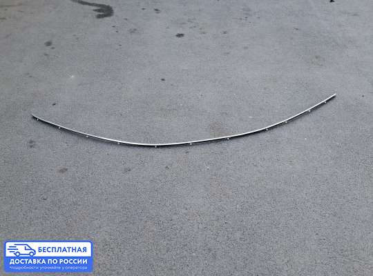 Молдинг на Nissan Teana II (J32)