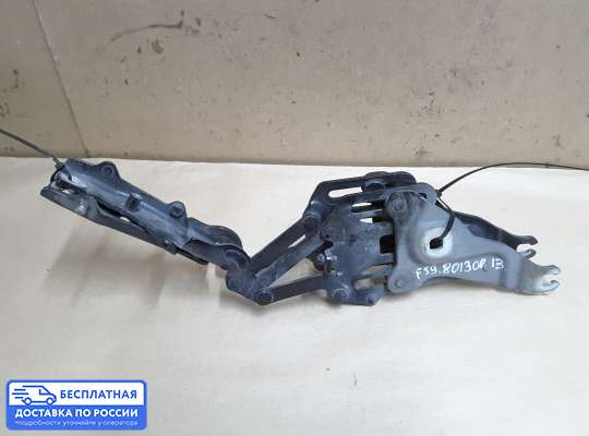 Петля капота на BMW X5 (E70)