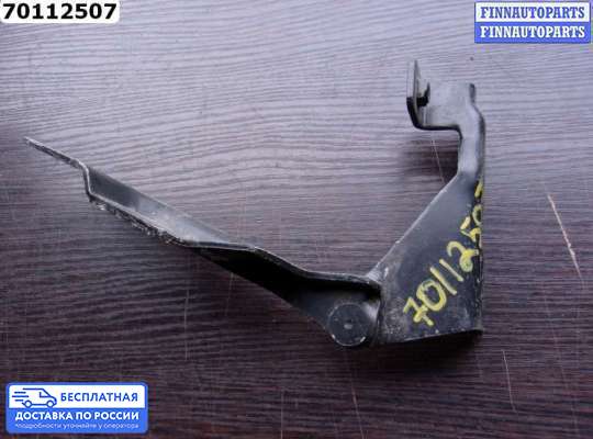 Петля капота на Nissan Almera II N16