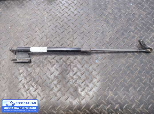 Амортизатор крышки багажника на Nissan Qashqai I (J10)