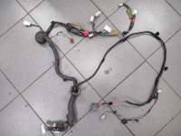 купить Проводка двери на Nissan Teana II (J32)