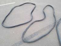 купить Уплотнитель двери на Opel Astra G / Classic