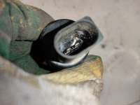 купить Моторчик (насос) омывателя на Peugeot 4007