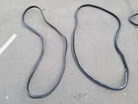 купить Уплотнитель двери на Audi A6 (C5)