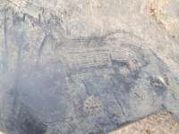 купить Локер на Mercedes-Benz E (W210)