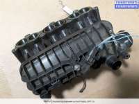 купить Коллектор впускной на Ford Fiesta VI