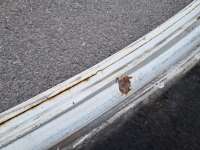 купить Капот на Ford Transit Mk6 / Mk7