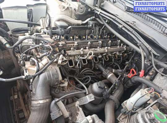 купить накладка декоративная (молдинг) крыла переднего правого на BMW X3 (E83) (2003 - 2010)