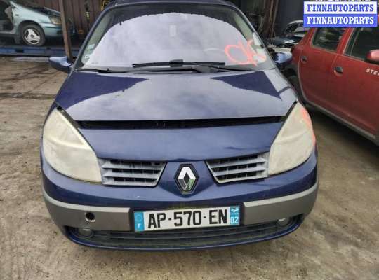 натяжитель ремня генератора RN987924 на Renault Scenic 2 (2003 - 2009)