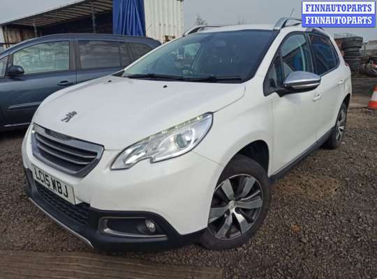 петля двери передней левой PG839519 на Peugeot 2008 1 (2013 - 2020)