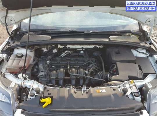 петля двери задней правой FO1403044 на Ford Focus 3 (2011 - 2019)