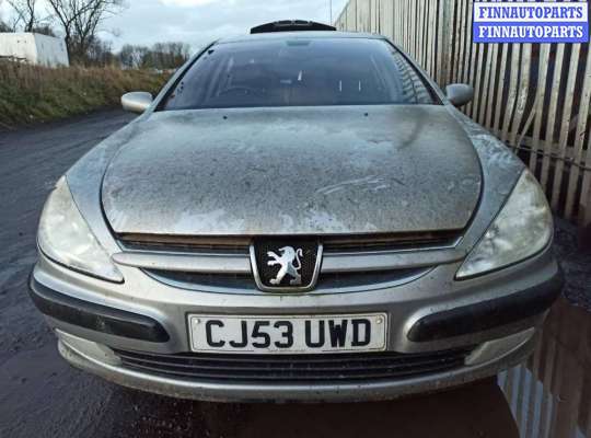 Петля двери на Peugeot 607