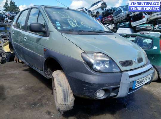 Жабо на Renault Scenic RX4