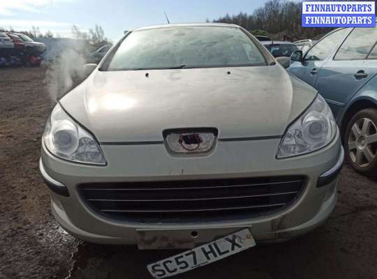 накладка декоративная (на рамку радиатора) PG585004 на Peugeot 407 (2004 - 2010)