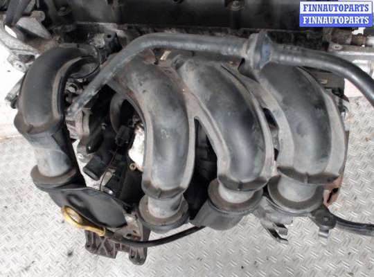 Коллектор впускной FO1871101 на Ford Focus 2 (2004 - 2011)
