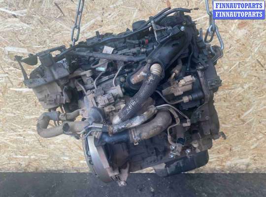ДВС (Двигатель) на Ford Focus III